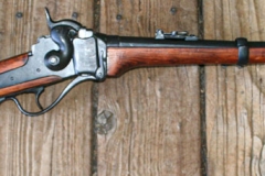 percussionrifle100719