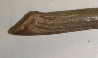 Early American Fork