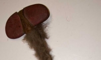 moviegunguy.com,  Axes, Maces, Spears, War Clubs,  Native American Stone War Club