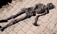 moviegunguy.com, movie prop corpses, Decayed male corpse