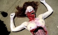 moviegunguy.com, movie prop corpses, Eviscerated female upper body