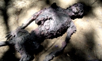 moviegunguy.com, movie prop corpses, Decayed full body male corpse