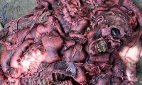 moviegunguy.com, movie prop corpses, Melted male body