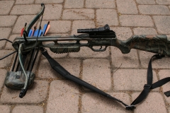 Modern Crossbow #1