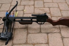 Modern Crossbow #2