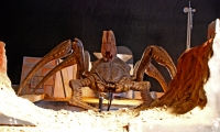 bug-2