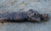 mummy2