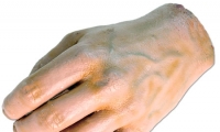 Hand