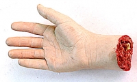 Hand