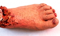 Foot