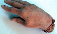 Hand