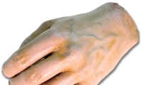 Hand