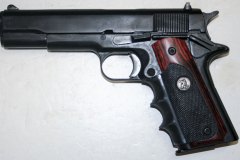 semiautohandgun100719-2