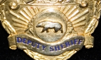 moviegunguy.com, prop police/SWAT gear, Deputy Sheriff badge