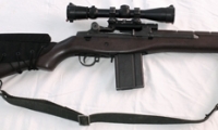 moviegunguy.com, Sniper & Scoped Weapons, M14