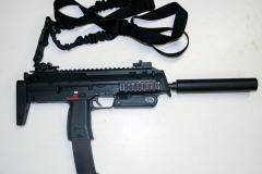 HIMP7A1silencer