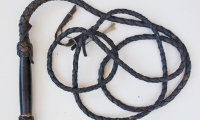 Black Whip